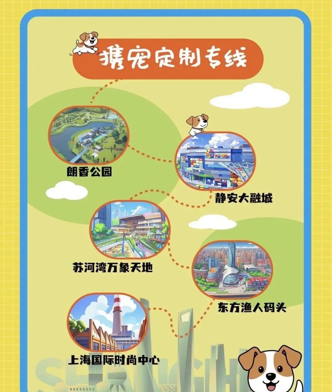 上海首條“攜寵定制專線”，就在寶山！(圖1)