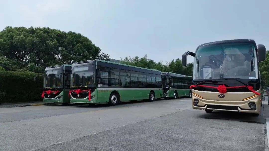 云南一地将迎来33台苏州金龙纯电巴士！(图1)